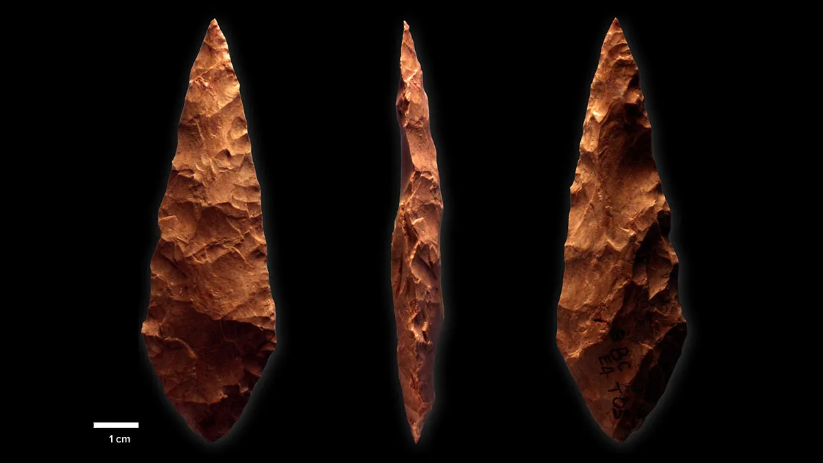 Stone Age Humans Chose Their Rocks with Care