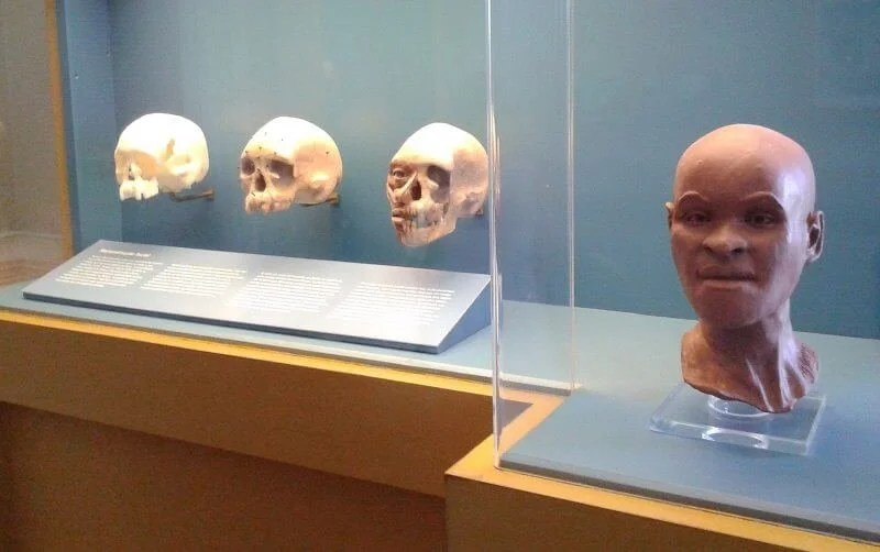 Luzia Woman: Unraveling the Enigmatic Origins of America's Oldest Human ...