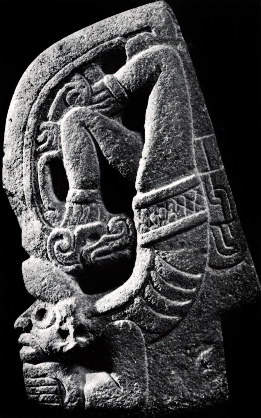 IMAGE10.jpg