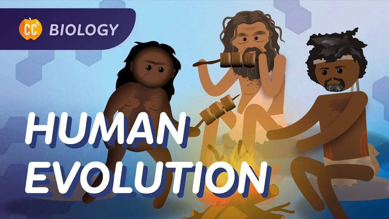 How Did Humans Evolve?