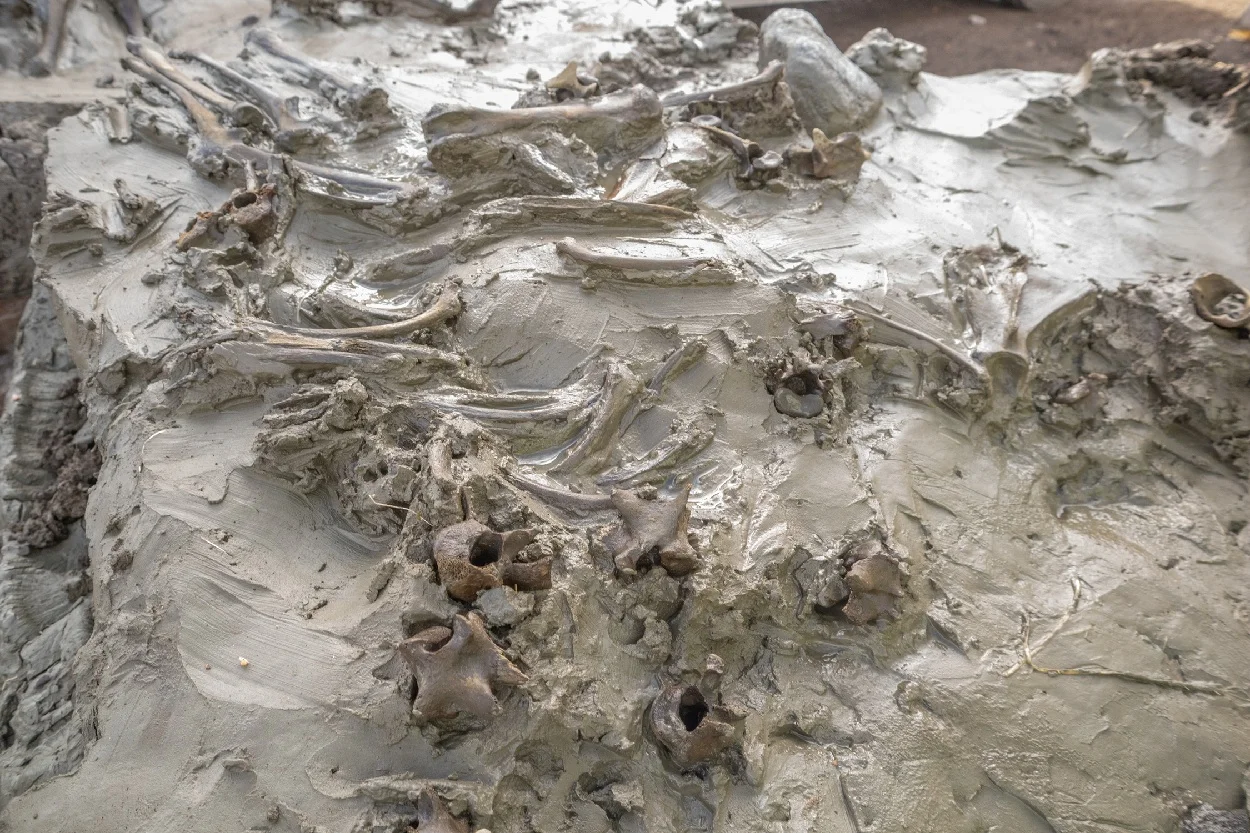 image_2025-12-17_000033727.png