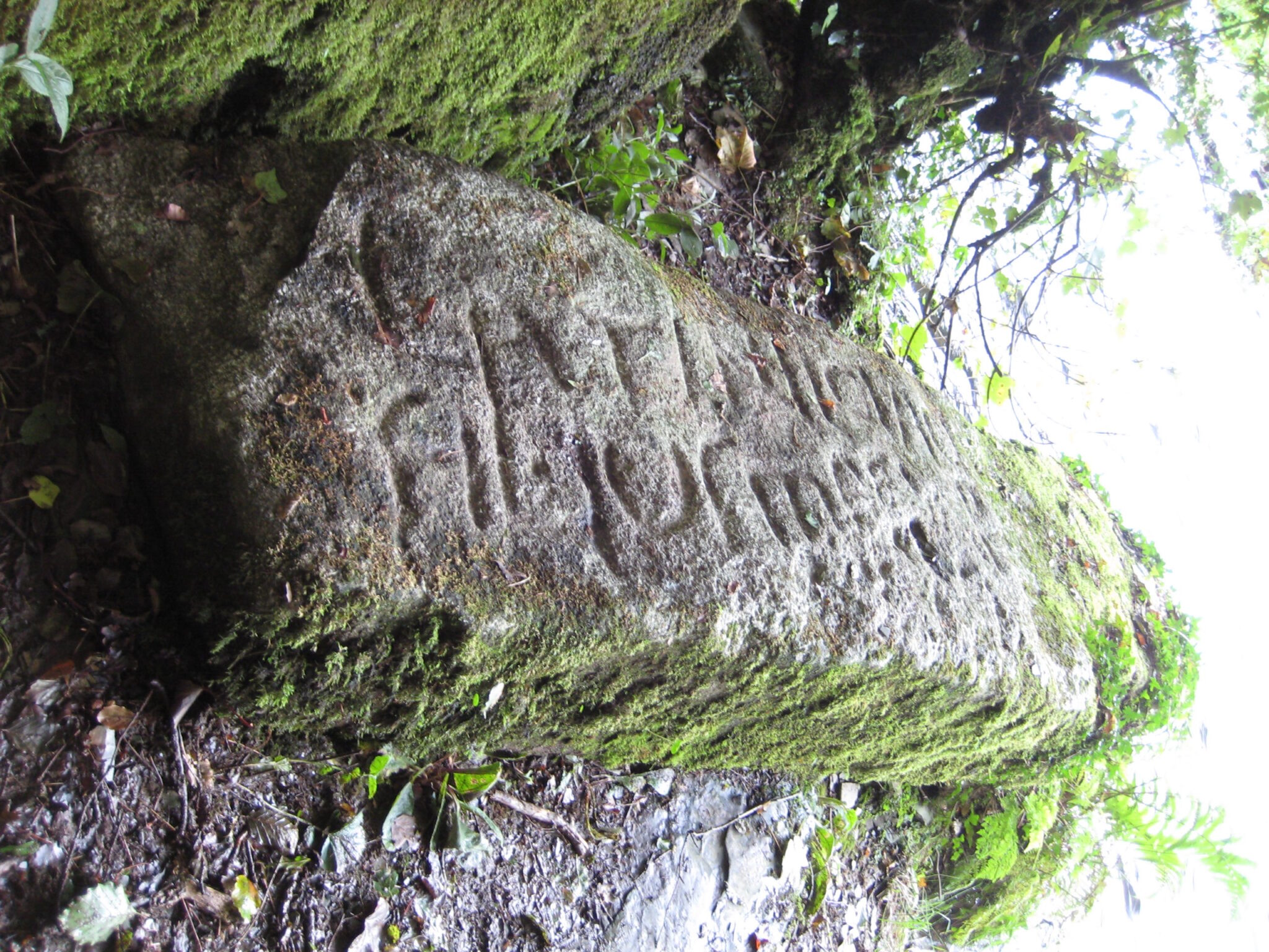 image_2025-12-15_150234019.png