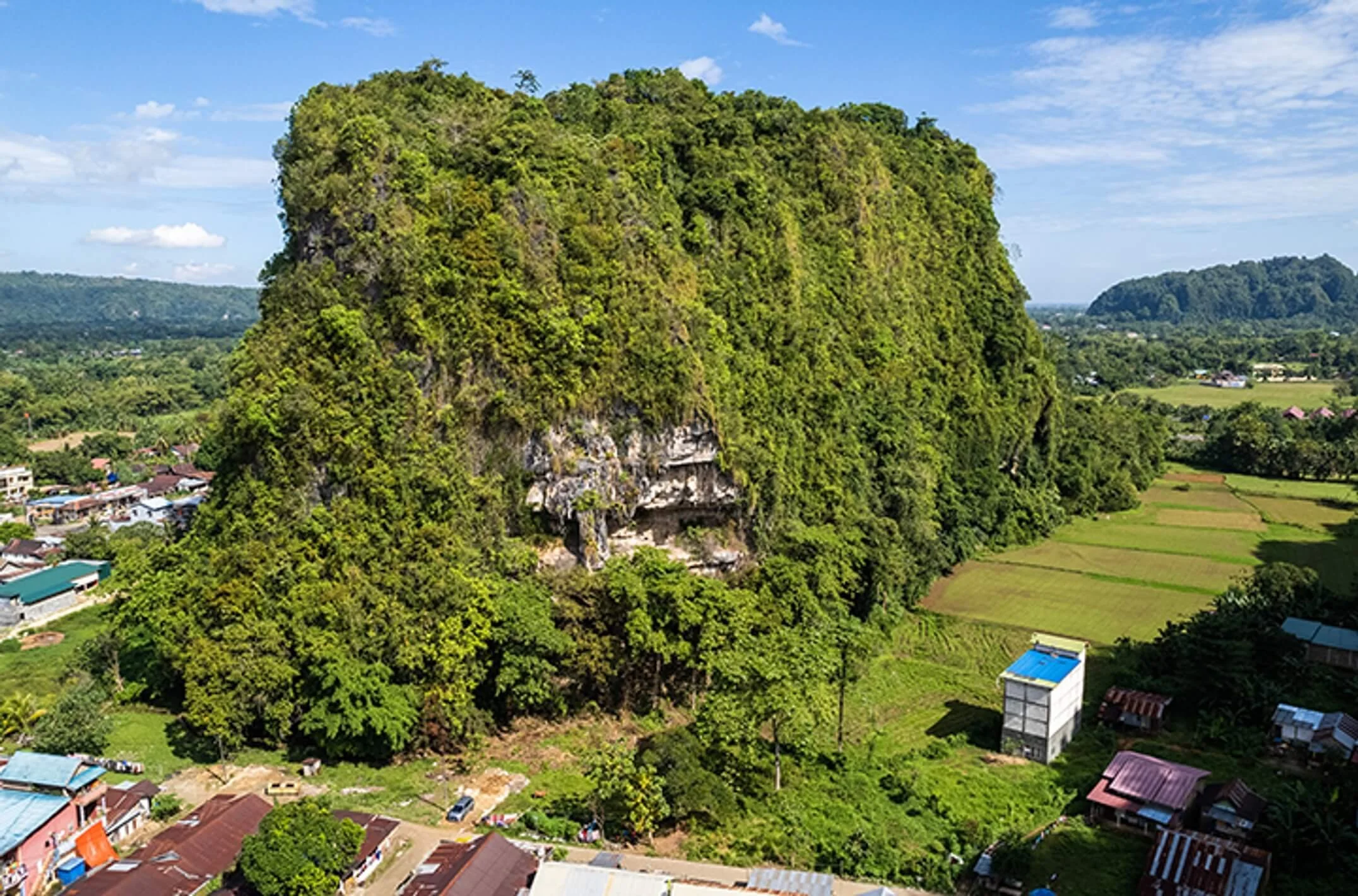 WORLD S OLDEST CAVE ART THE OUTLINE OF A HUMAN HAND DISCOVERED visual data 5