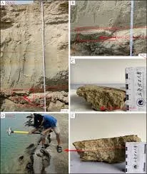 Carbonate Crusts as Dating Tools on Coastal Archaeological Wood