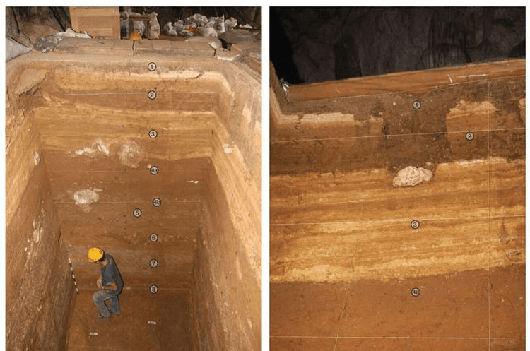 Deep Sulawesi cave dig could reveal overlap between extinct humans and us