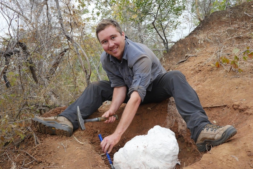 Africa's oldest known dinosaur has been discovered in Zimbabwe
