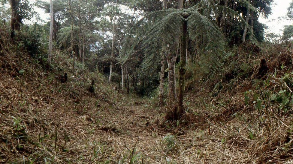 Enormous Lost Ancient Metropolis Discovered in the Amazonian Jungle