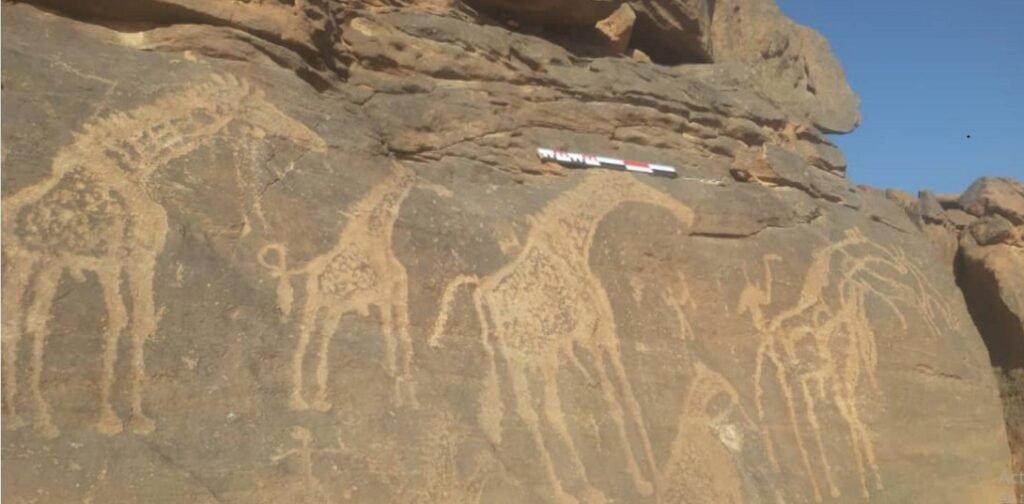 News-20250731-Libya-Rock-Art-Panel-1024x504.jpg