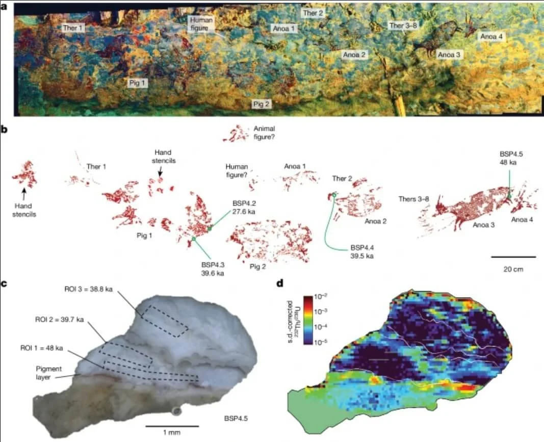 WORLD S OLDEST CAVE ART THE OUTLINE OF A HUMAN HAND DISCOVERED visual data 4