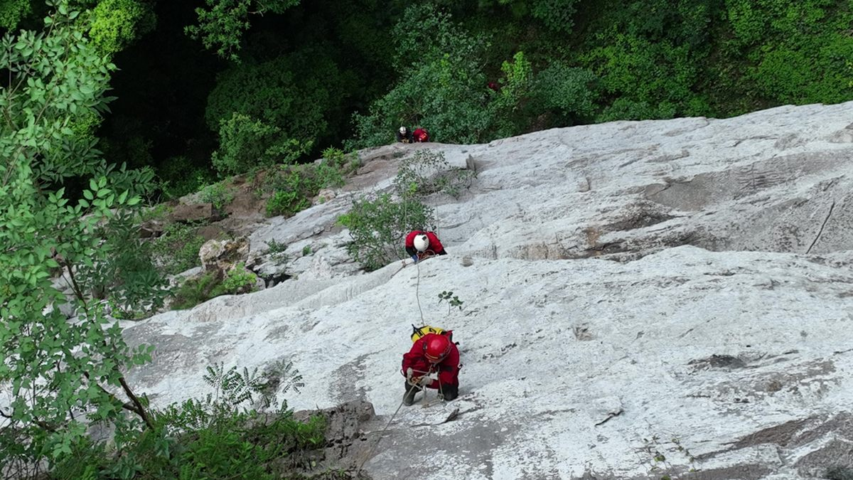 Ancient Forest Found Inside A Giant Sinkhole In China