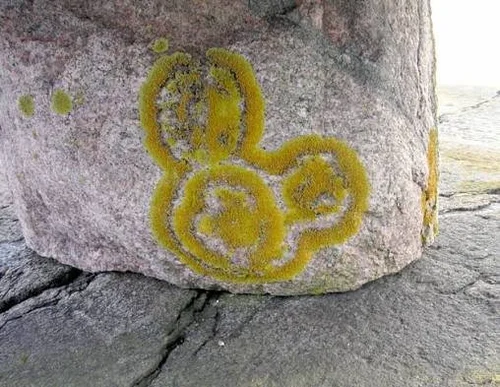 Petroglyph Lichenometry: Dating Shallow Engravings in Temperate Climates