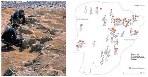 Most Significant Ancient Mass Graves and Cemeteries Across the Sands of