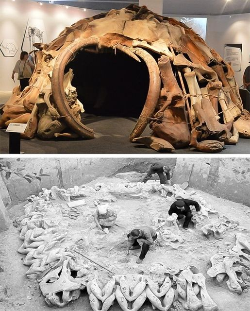 The Prehistoric Hut: A 15,000-Year-Old Structure Made of Mammoth Bones