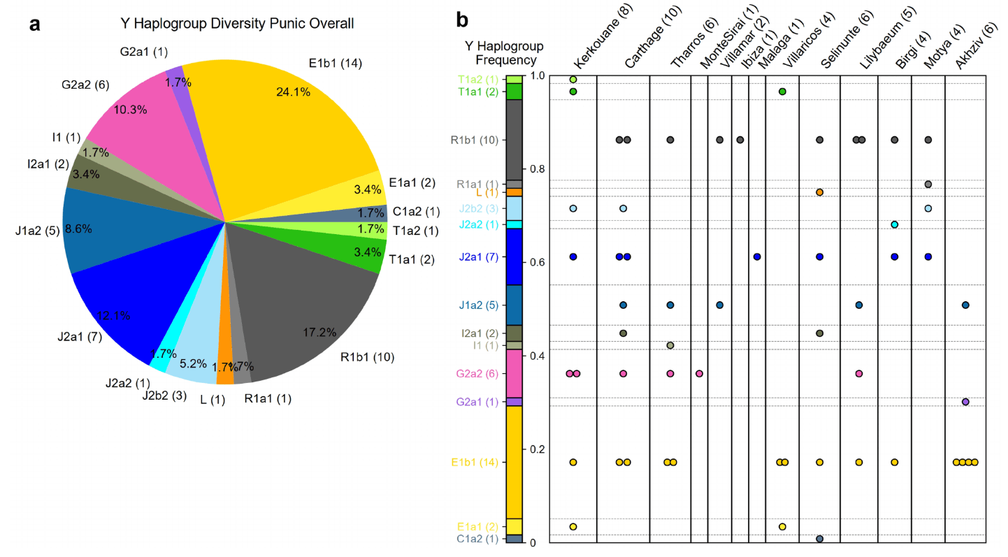 New genetic data reveal a strong Greek genetic footprint in Carthage