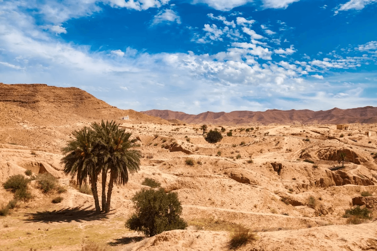 A Saharan civilization flourished for eight centuries until the