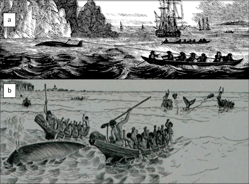 Whaling-scenes-a-English-whalers-in-the-North-Atlantic-19th-century-Cheever-1853.webp