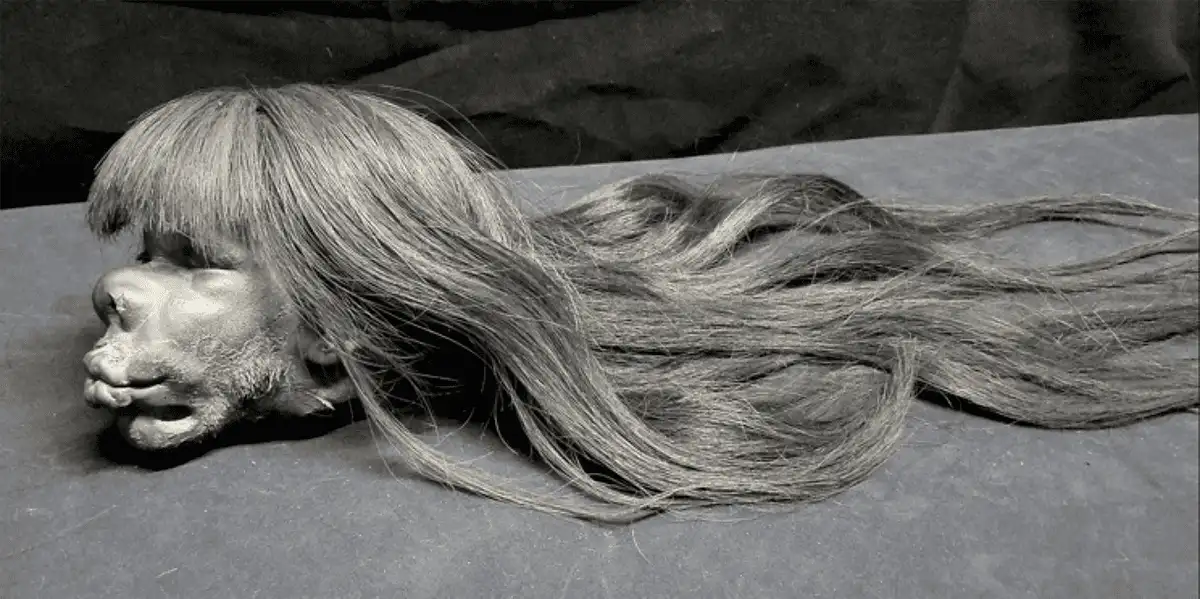 Shrunken Heads