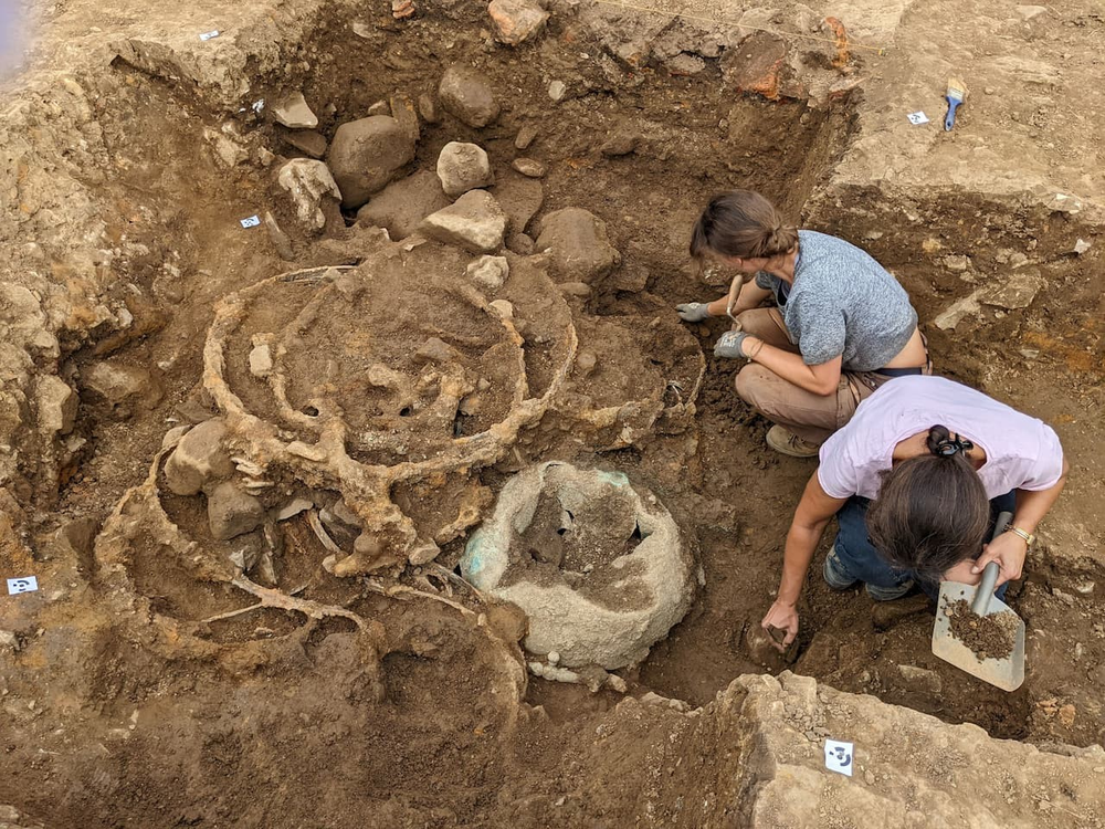 Accidental Discovery of a 2,000-Year-Old Treasure Trove: 800 Ancient ...
