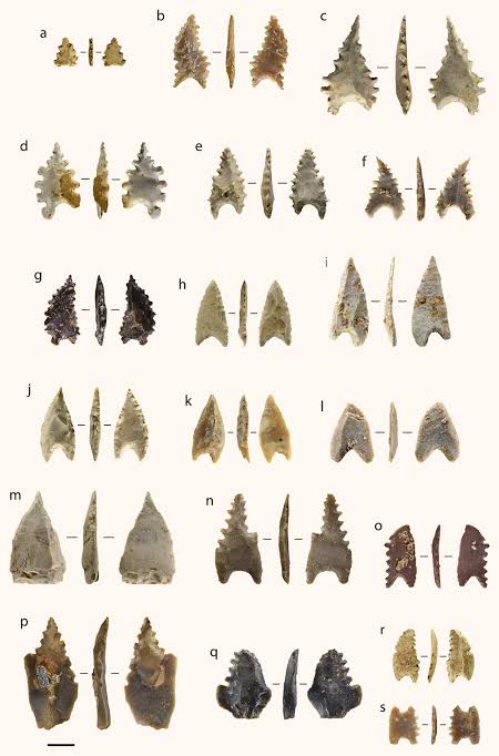 image_2026-07-14_214449170.png