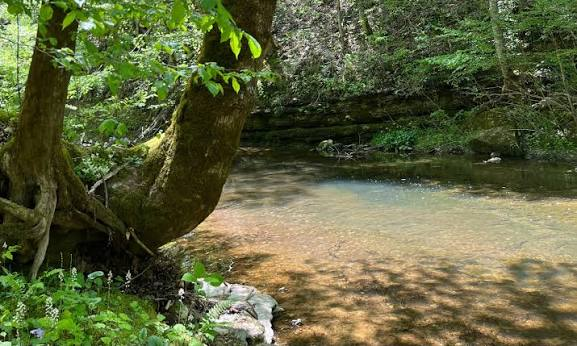 image_2026-07-26_232754596.png