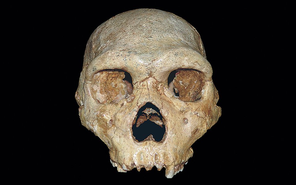 700,000-Year-Old Skull Found In Greece Completely Shatters 'Out Of Africa Theory'