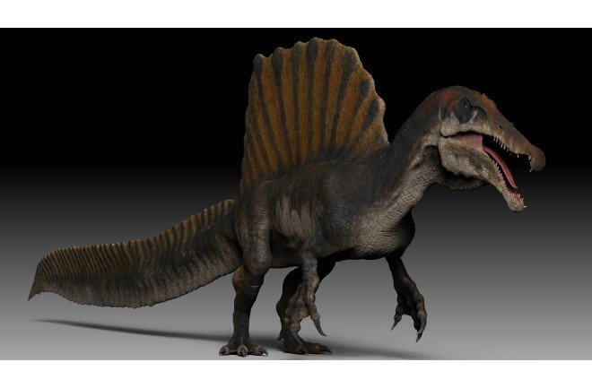 Was Spinosaurus Bigger Than T-Rex? 