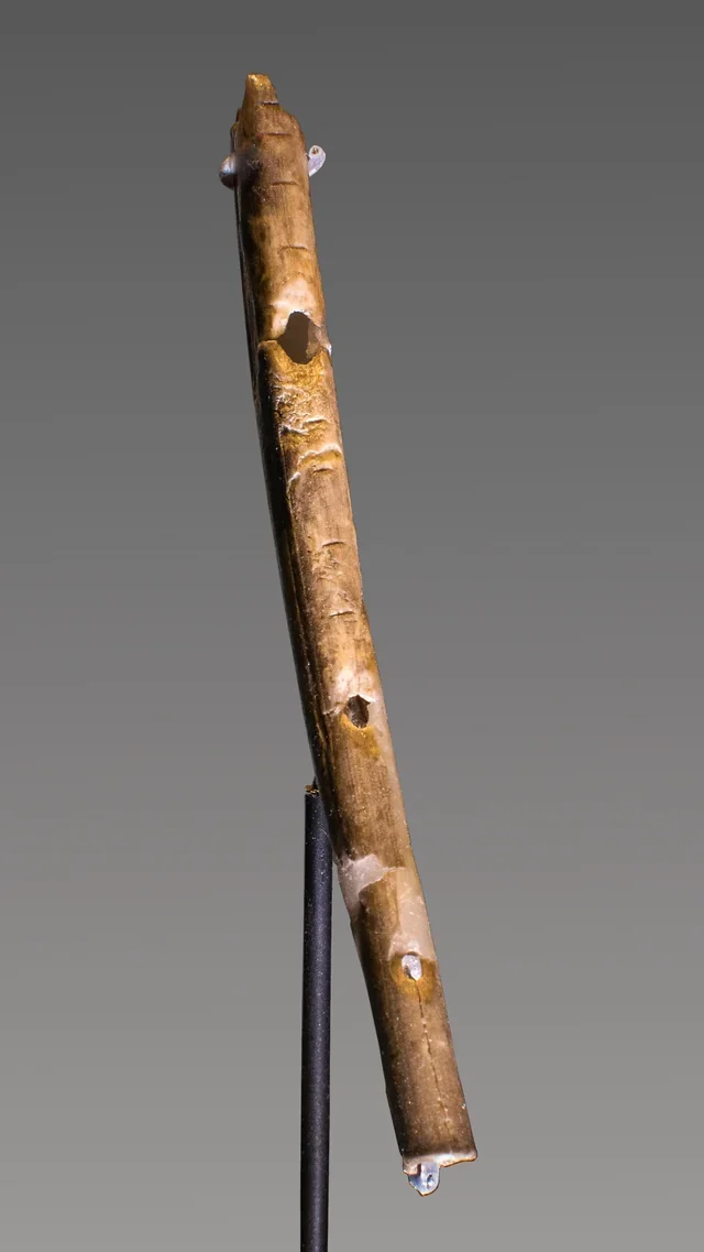 one-of-the-geissenklösterle-flutes-an-upper-paleolithic-v0-4X1_PafGg8r3gqon35O4-CZAJ89Ec35h4to7aqP04to.webp