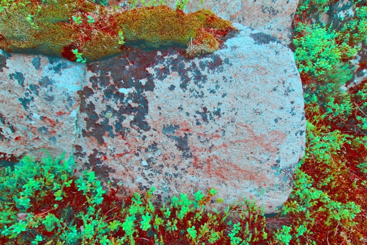 image_2025-12-22_221021759.png