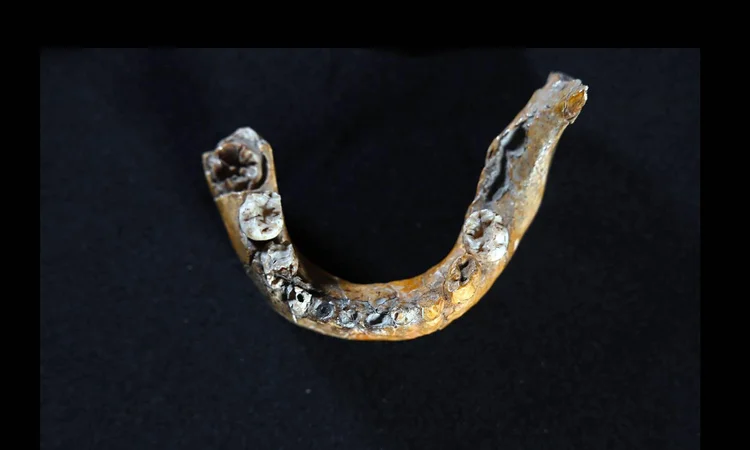 The Oldest Known Human Fossil that Blends Homo Sapiens and Neanderthal ...