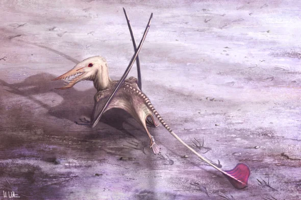 200-million year old Pterosaur 'built for flying