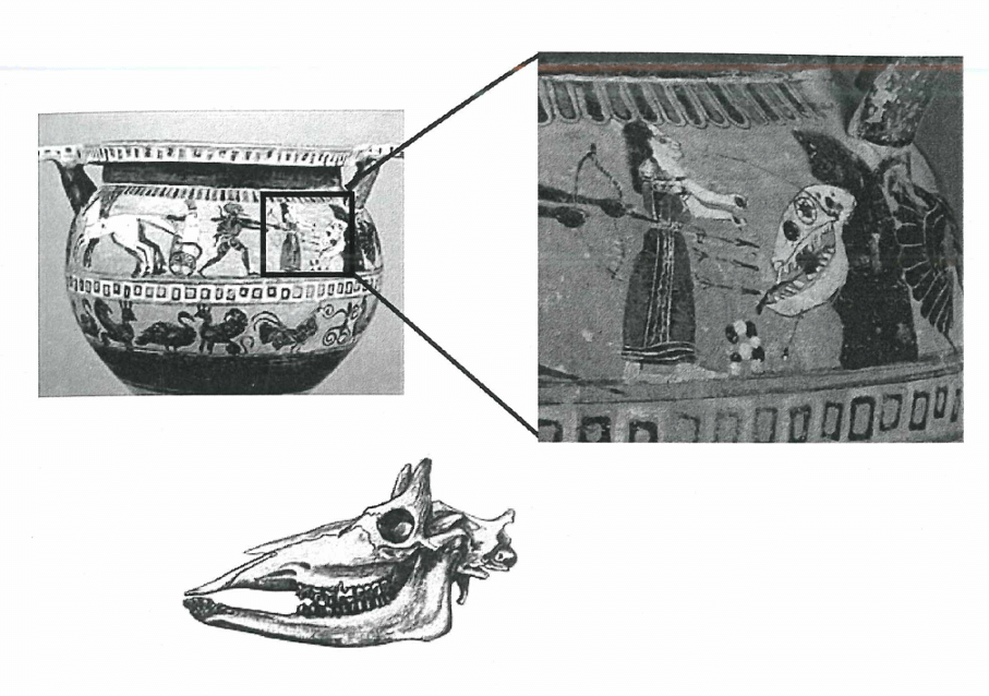 Heroes and Bones: How Ancient Greeks Interpreted Fossils and Created Myths