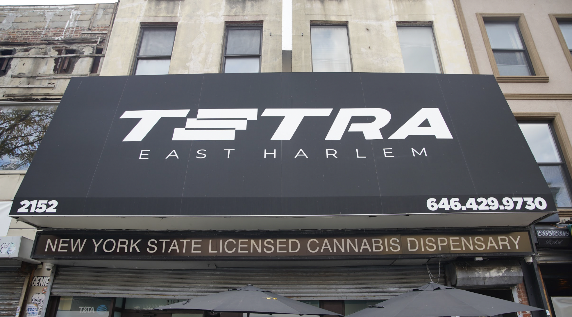 Tetra East Harlem