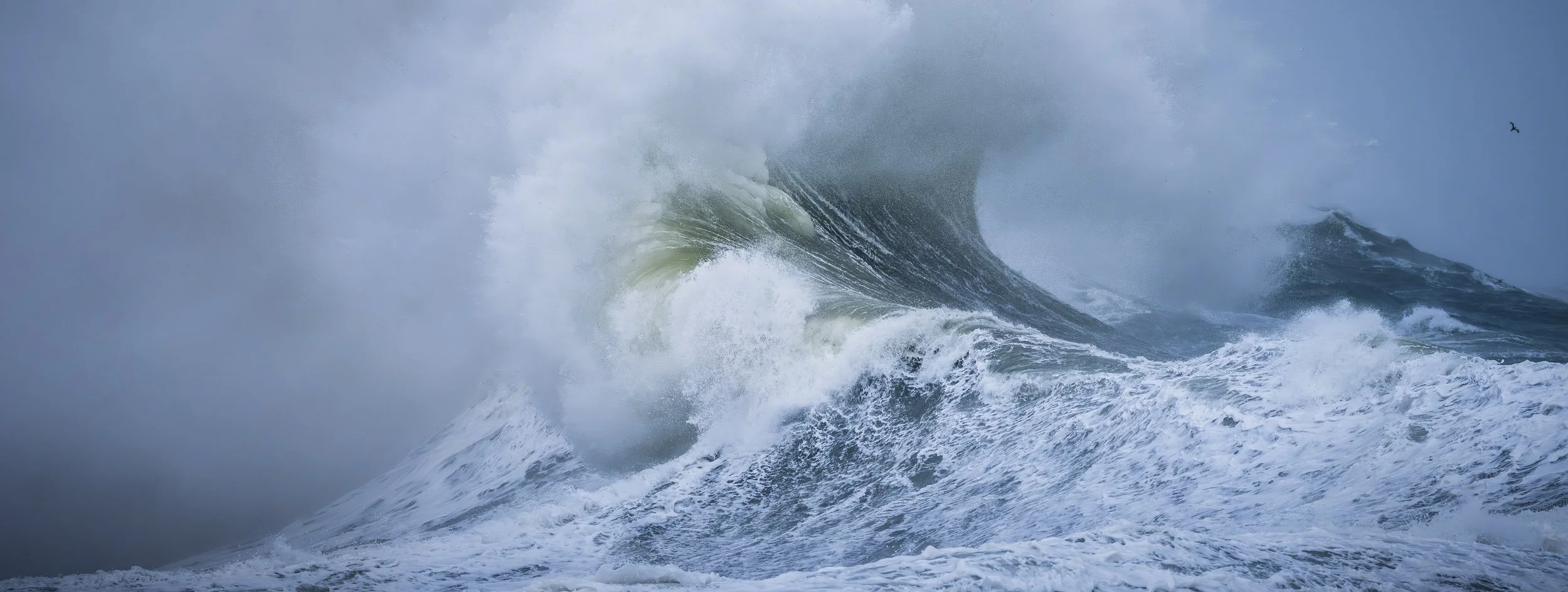 Cape Disappointment #1