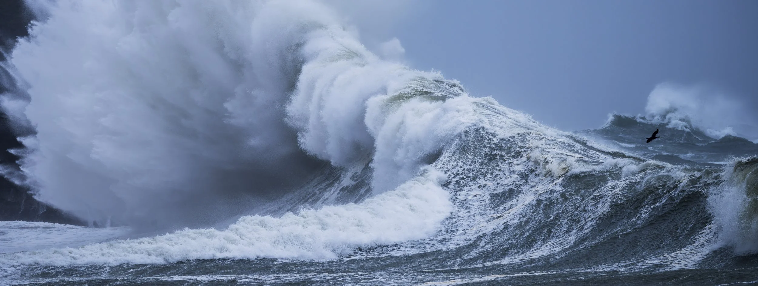 Cape Disappointment #6