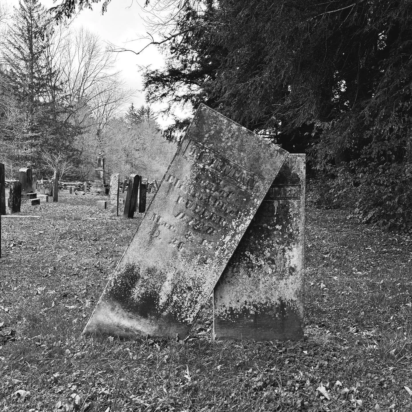 In the 1830s the town of Woodstock, Vermont was struck with Vampire panic. Boys began falling ill, turning ghastly pale, and losing all appetite. When vampirism was suspected, the bodies were exhumed, and when one was discovered to still have blood i