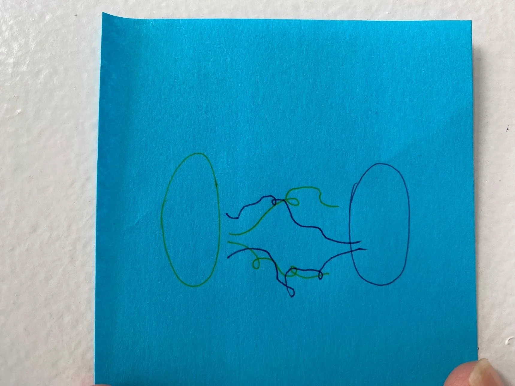Two oval shapes on blue paper, in green ink on left and blue ink on right, connected by waving, looping lines, two green and two blue, which appear to emerge from the correspondingly coloured oval and move, spreading wider, towards the opposite