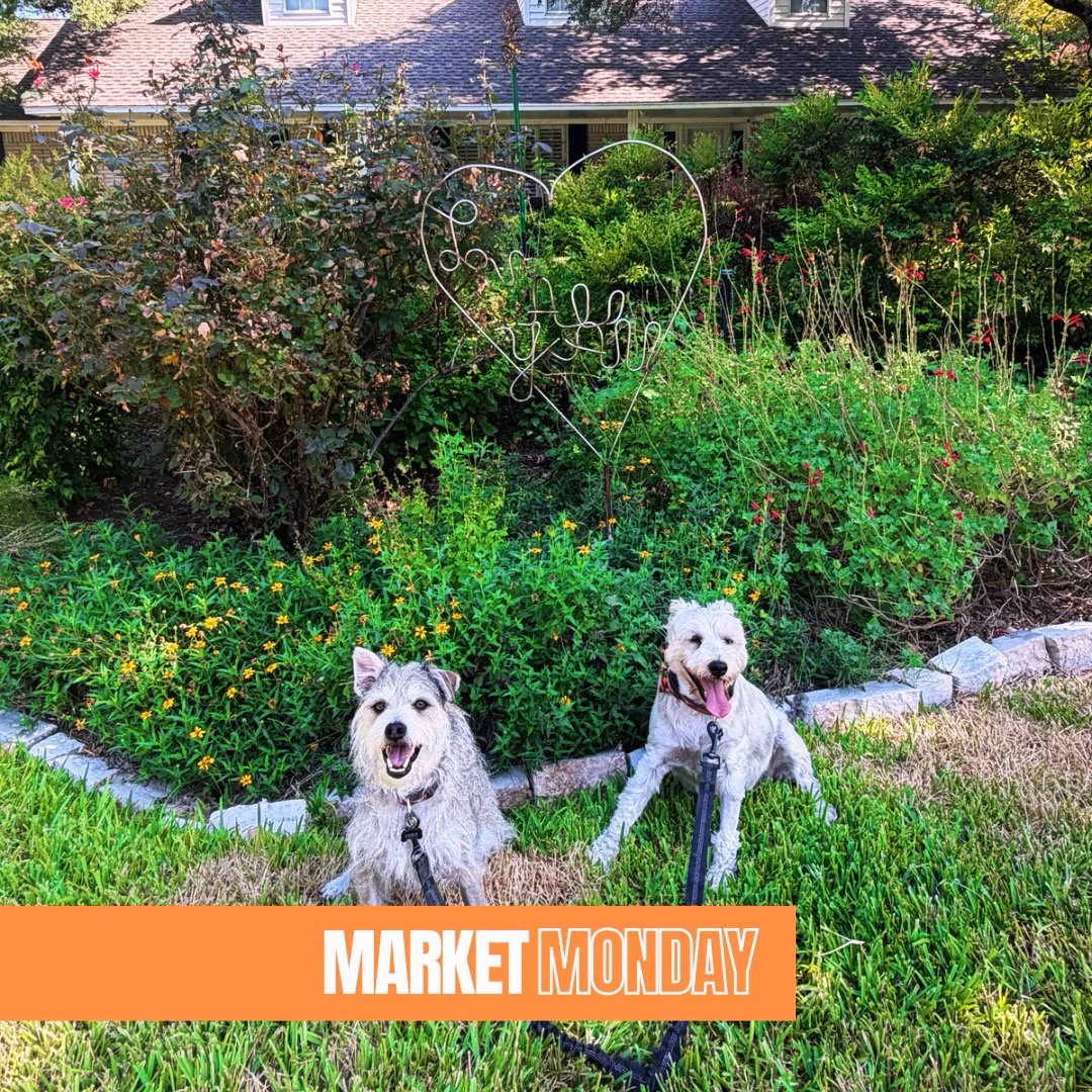 Market Monday: August 24th, 2026