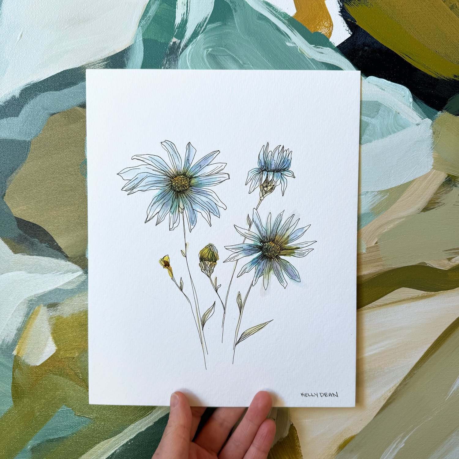 Aster-1.jpg