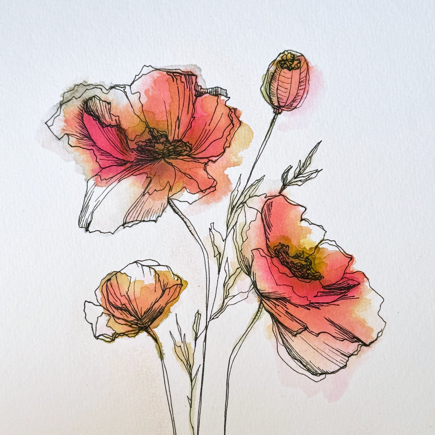 Poppy-close.jpg
