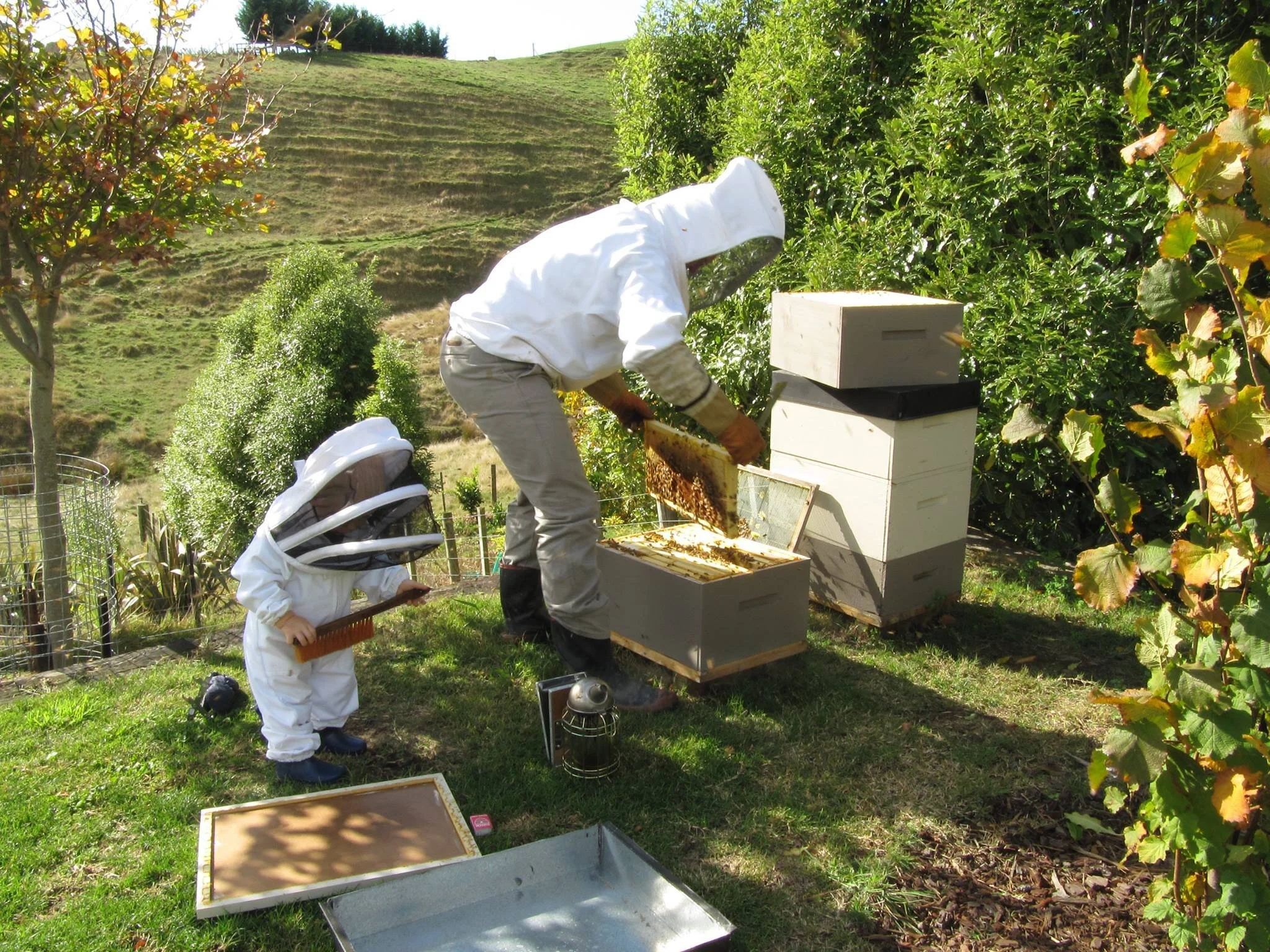 Beekeeping.jpg