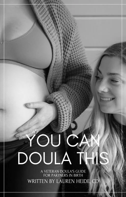 You Can Doula This: A Veteran Doula's Guide for Partners in Birth