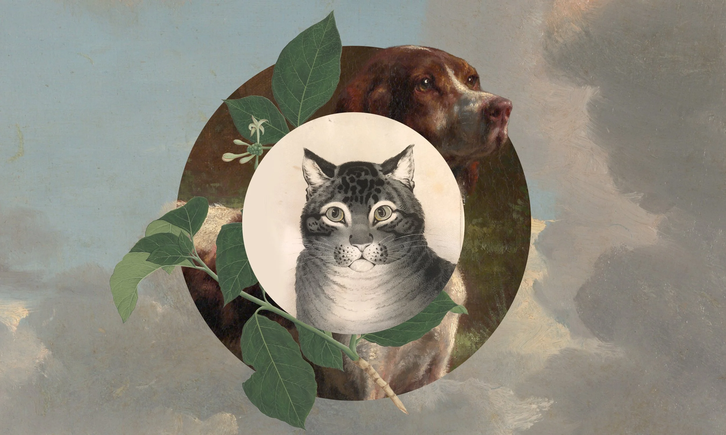 Collage of Dog and Cat