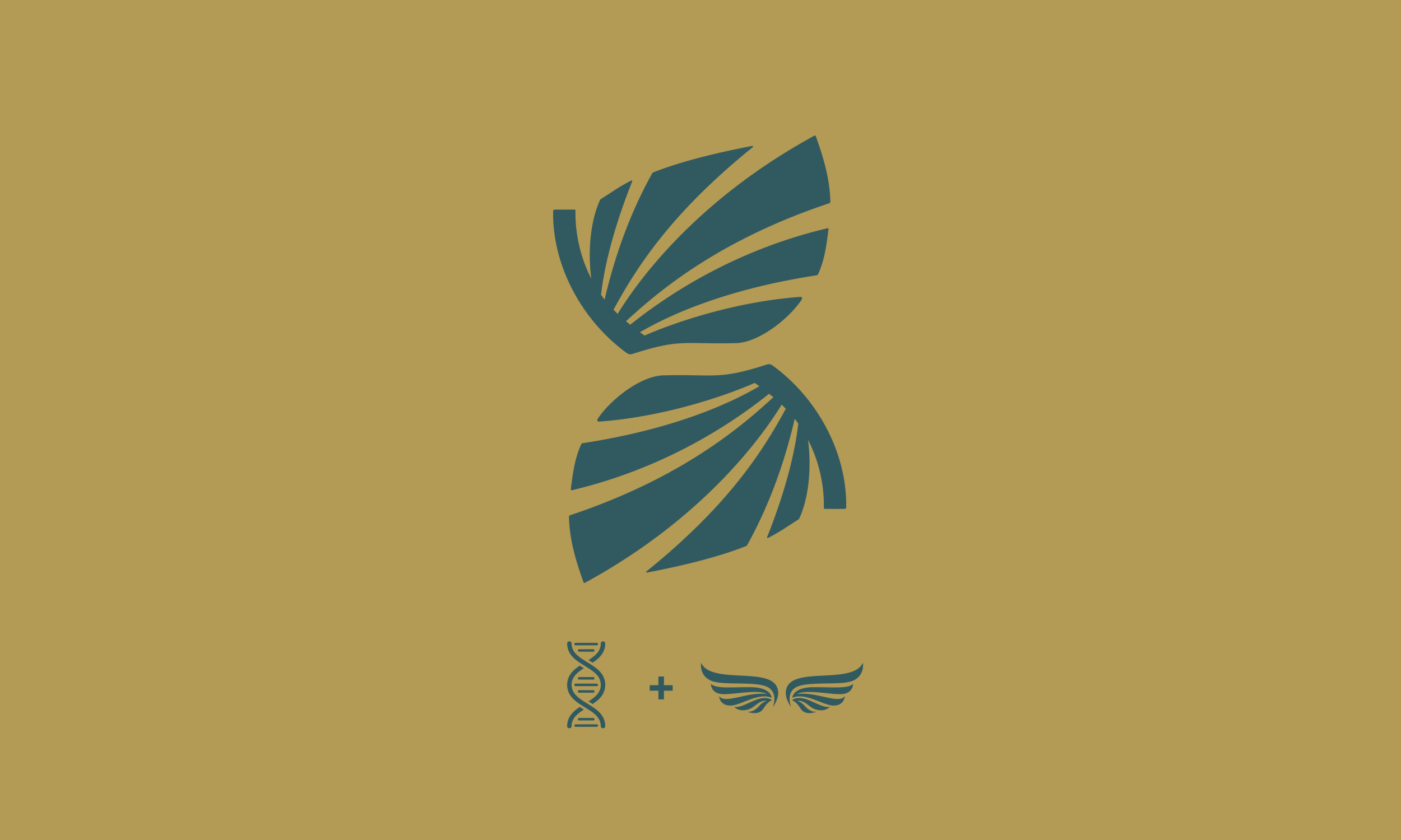 ORI-M-Projects-2500x1500.png