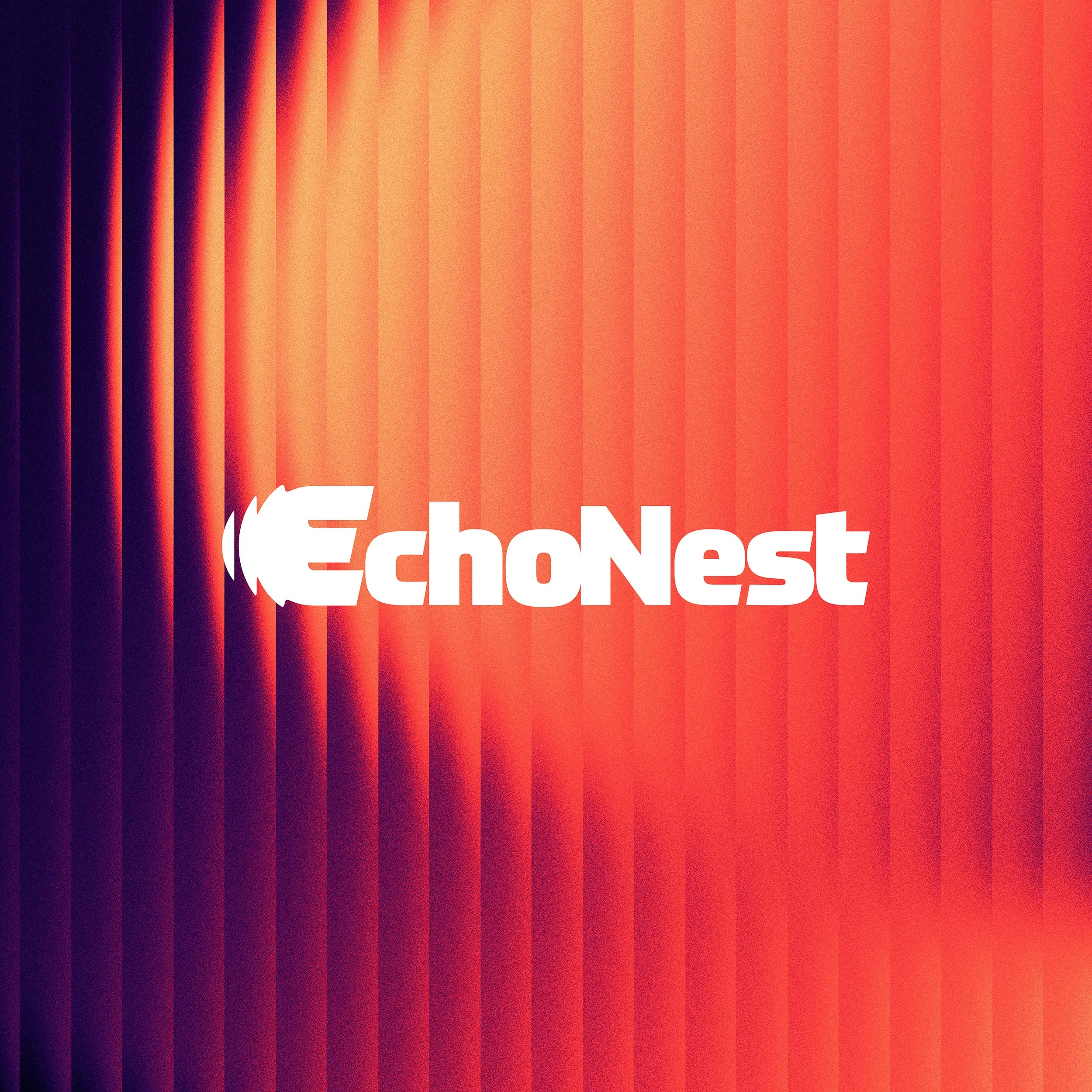 EchoNest Visual Identity & Brand Campaign