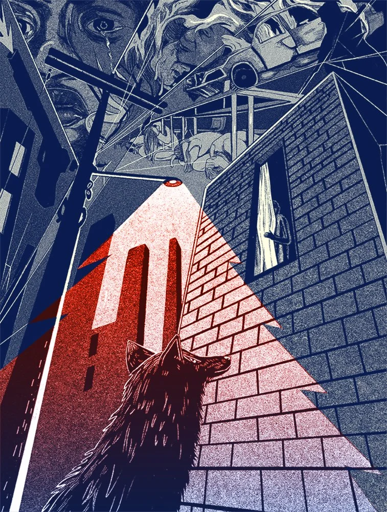 North of Washington D.C., where the illusion of safety and community is shattered by violent events and shootings at schools. The writer is alarmed by a mysterious sound at night but realizes in the end it’s just a coyote out his window. 