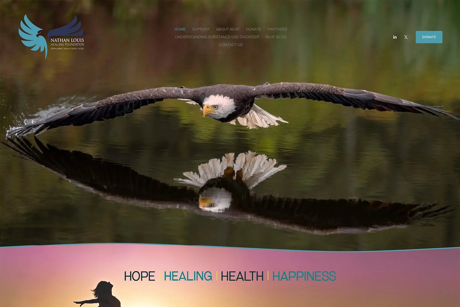 Nathan Louis Healing Foundation Website