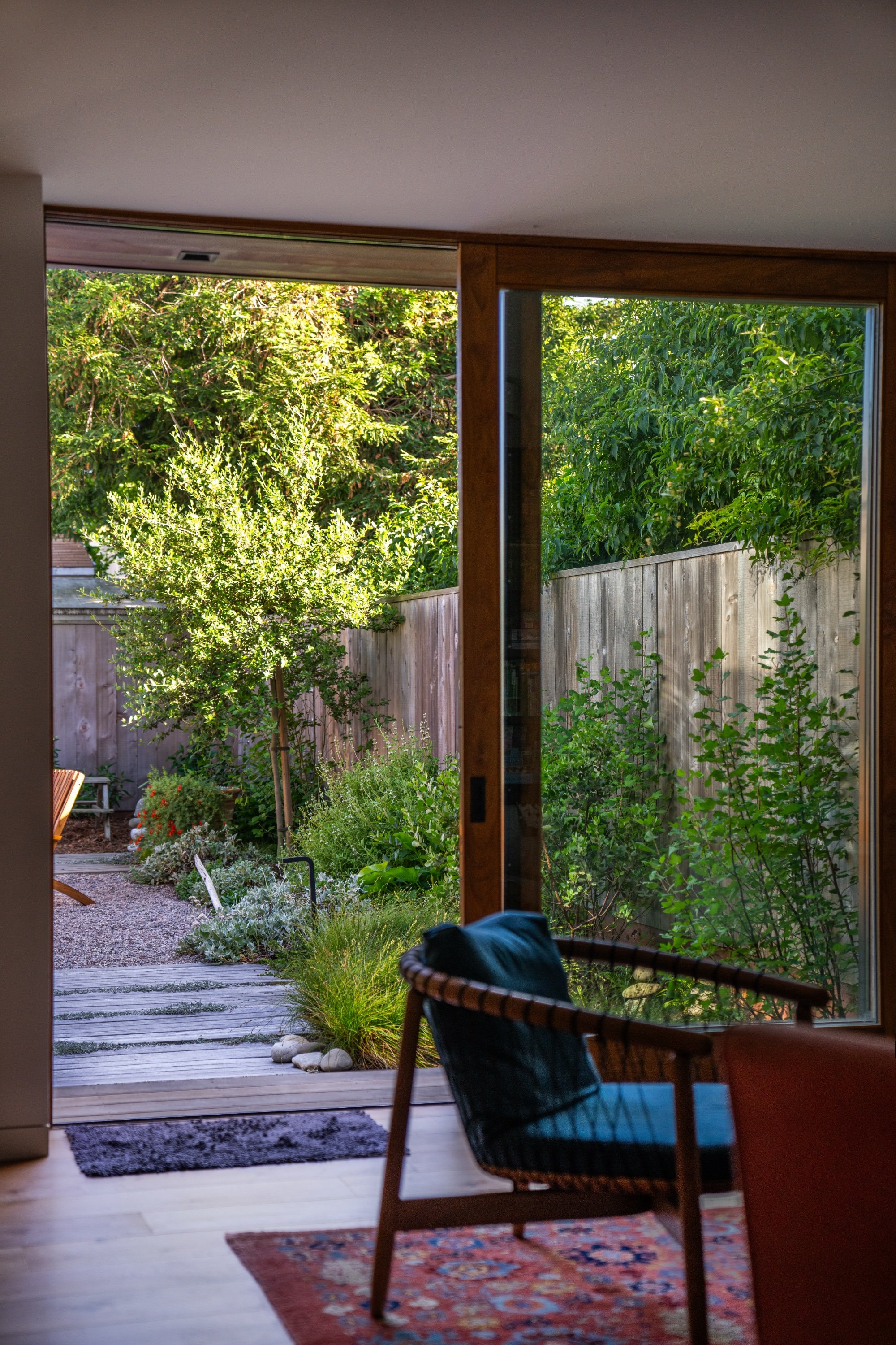 Native garden view from living room in San Francisco
