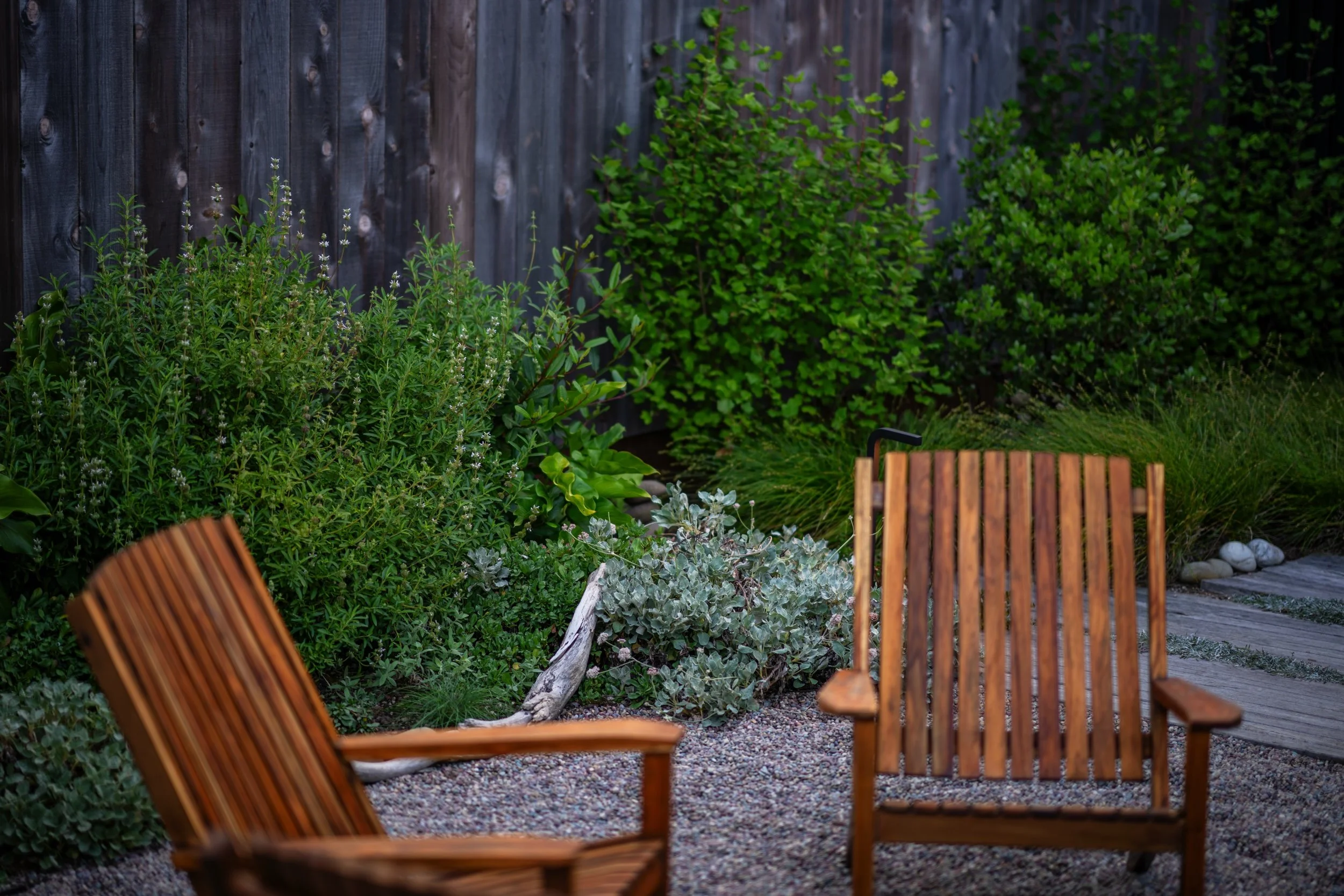Native plantings in a bach style garden