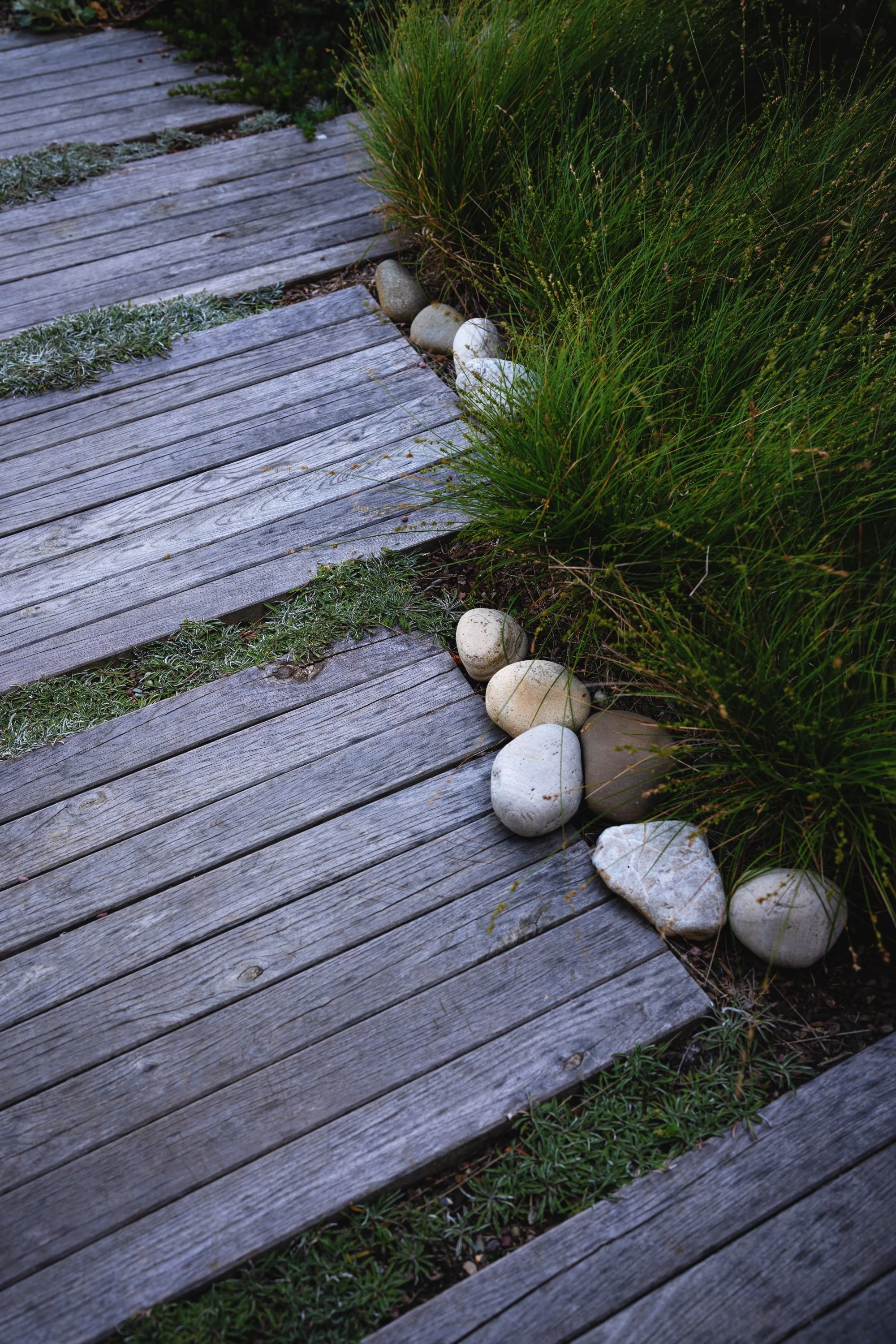 Timber stepping pads with beach pebbles and grasses