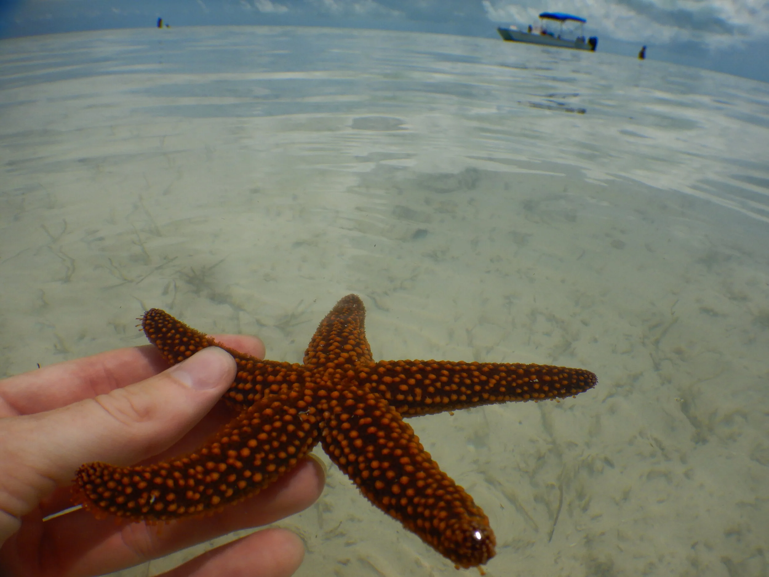 MRDF's MarineLab Education Program — Marine Resources Development ...